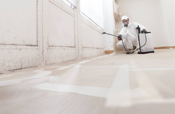 24/7 Emergency Attic Mold Remediation experts in Nashville, GA